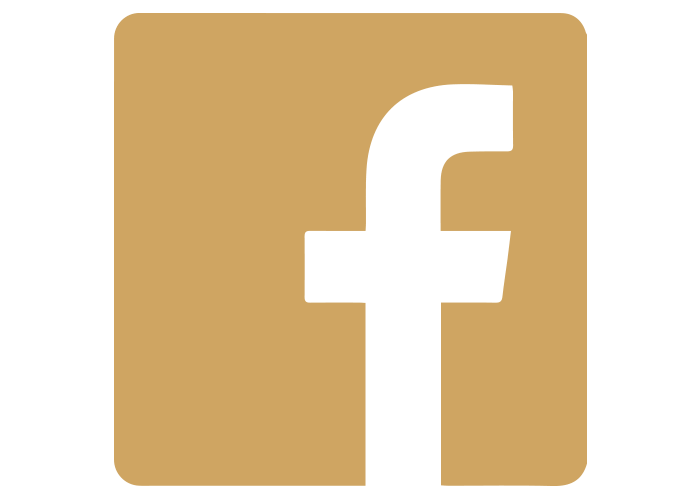 social icon facebook