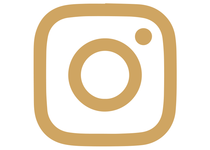 social icon instagram