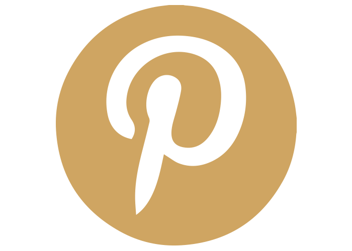 social icon pinterest